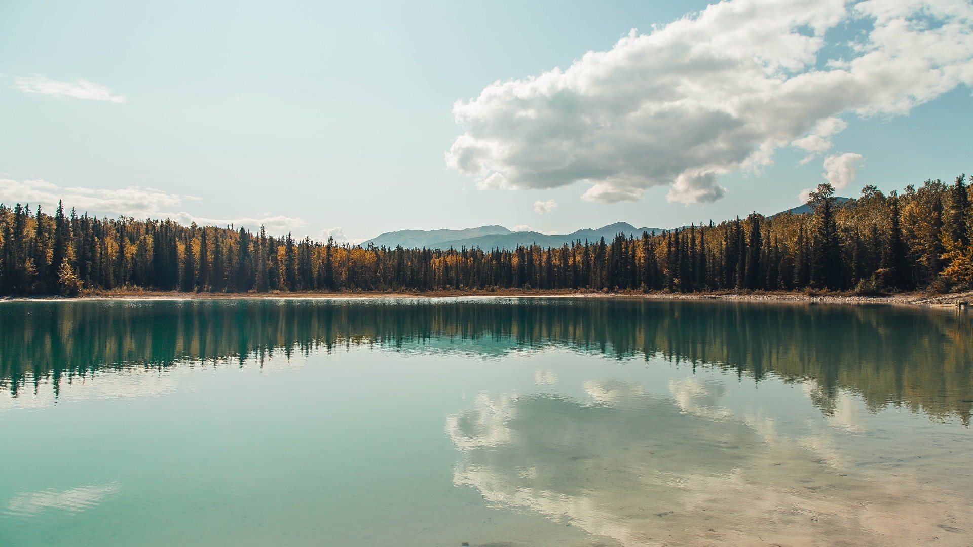 NBA官方年度最佳团队合作瞬间回顾,nba最强团队
