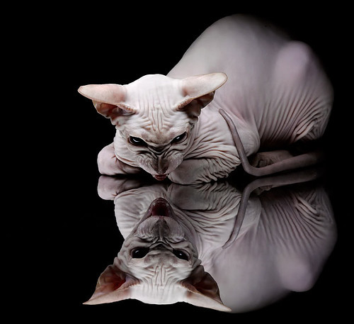 开云中国-VALORANT 明星中单选手状态回暖，valorant比赛