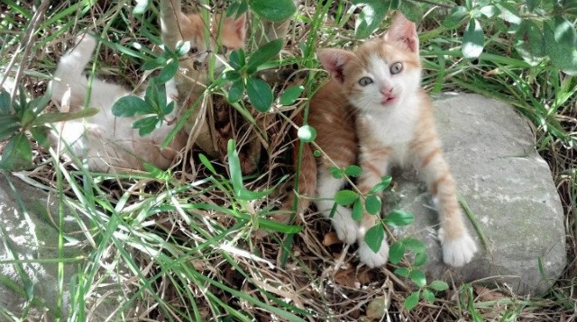 “中国女足国家队全面备战,誓争佳绩”,中国女足 国家队