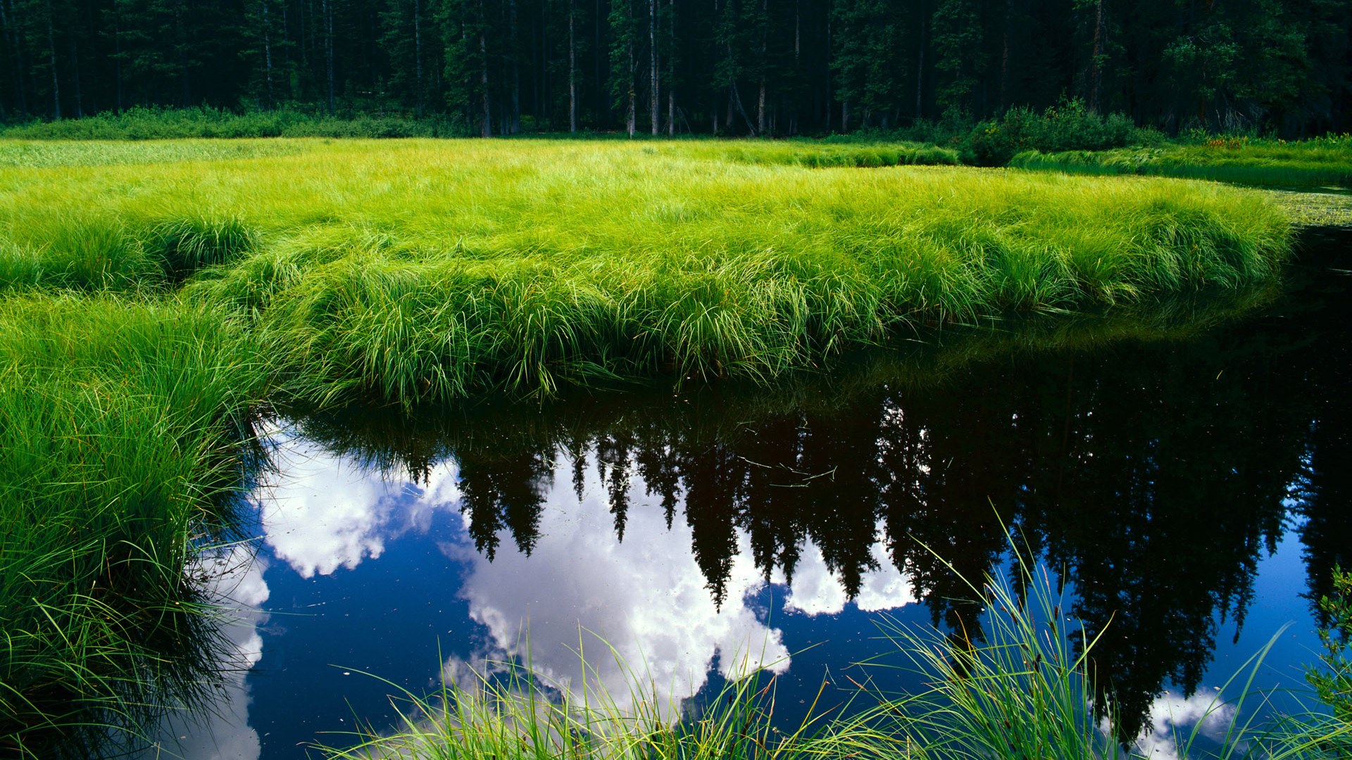 中国足球各级联赛电视转播质量提升,国内足球节目