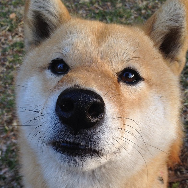 国际足球交流合作持续深化,推动中国足球融入全球足球生态,国际足球改革