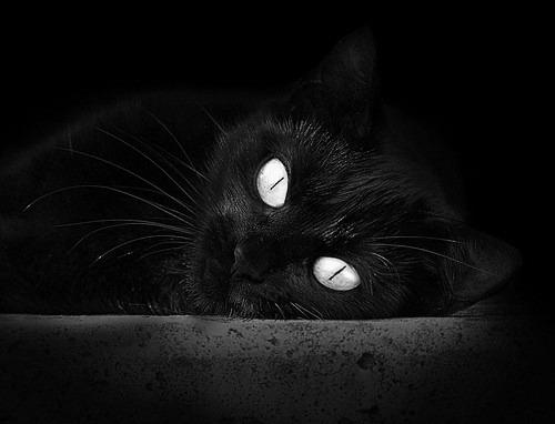 终点线前的挣扎与欢笑,终点前的快乐