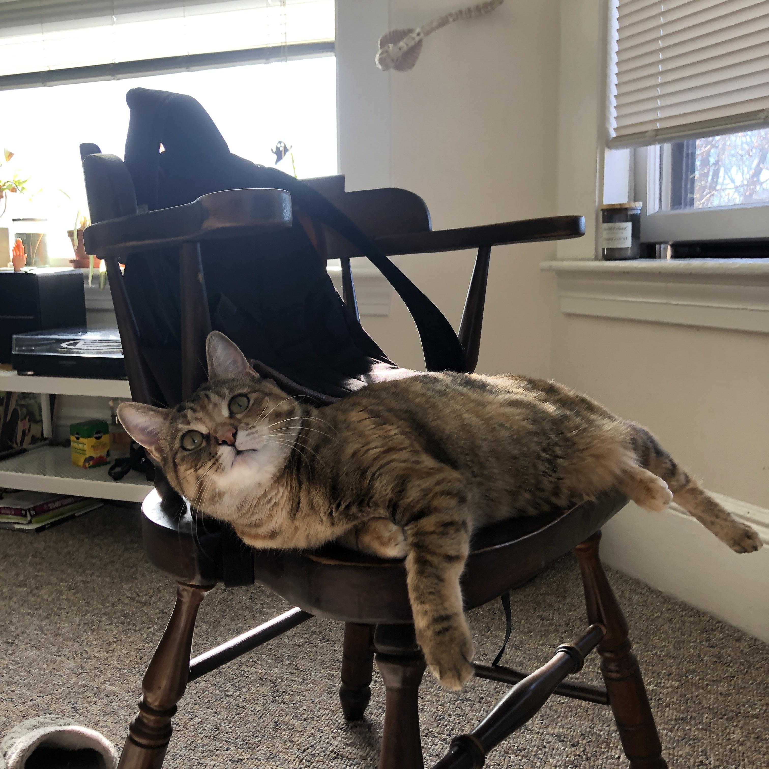 英超经典比赛,精彩入球和神级扑救刷出新高度,英超精彩进球