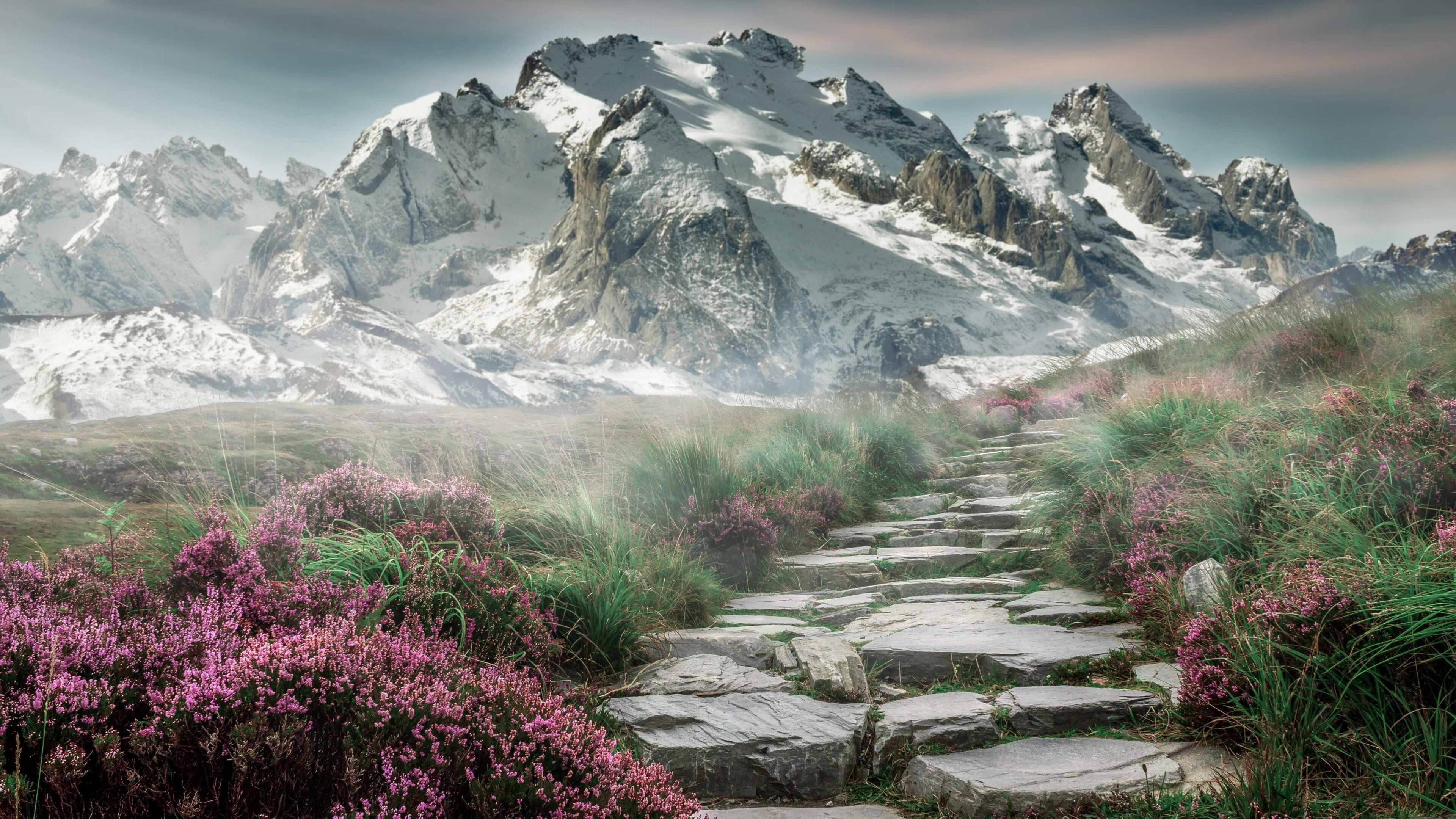 开云官方网页登录-NBA全明星赛即将来临，nba全明星赛安排