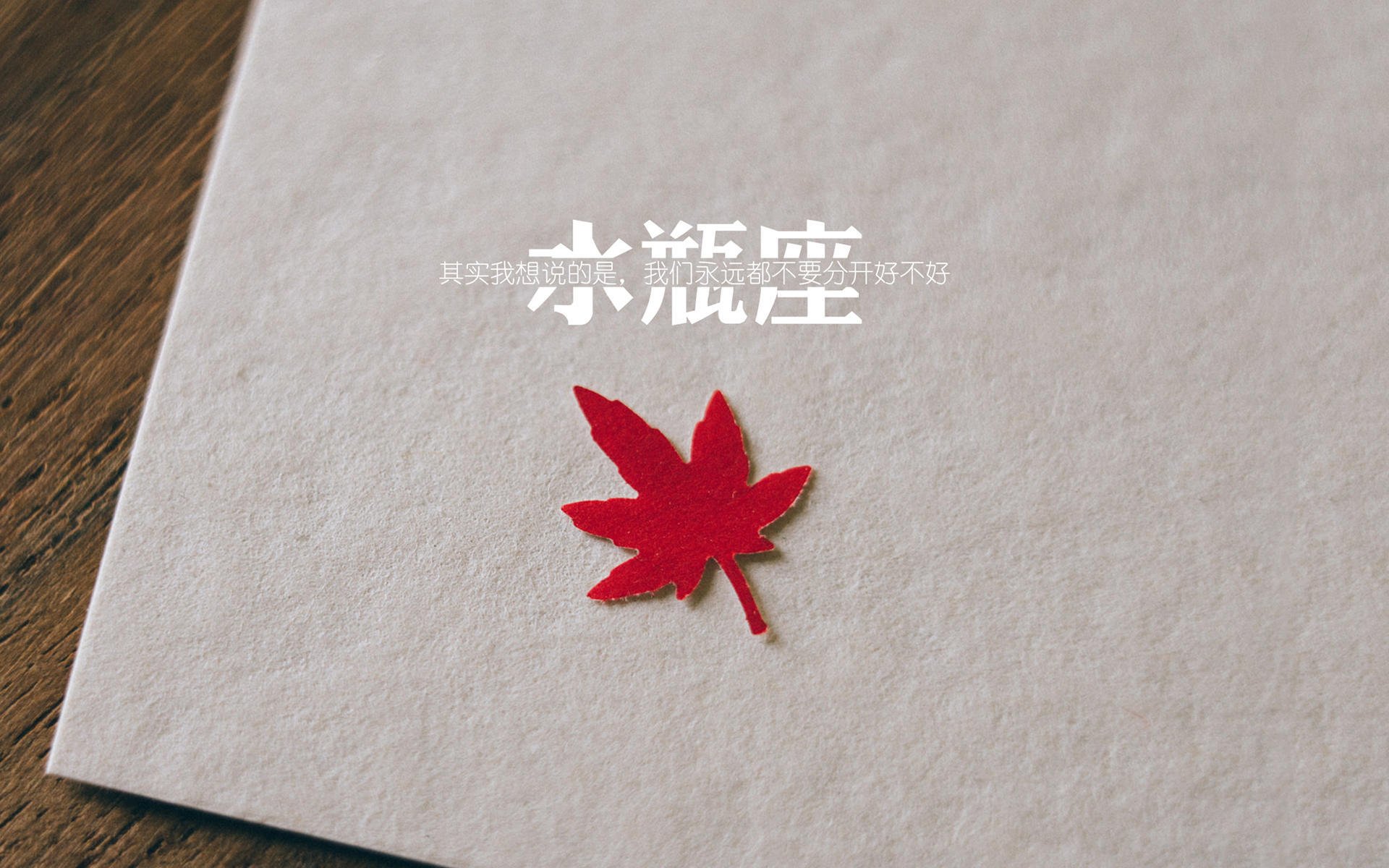 国足前锋线火力全开，进球效率大幅提升，国足前锋高峰