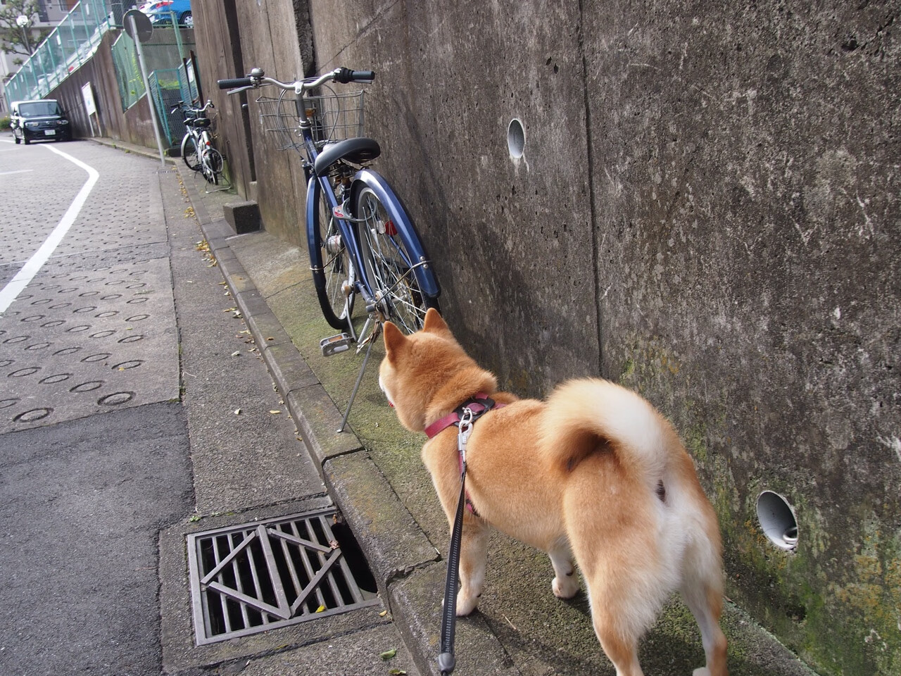 KAIYUNAPP-电竞赛事奖金激励机制的合理设计，电竞奖金积累