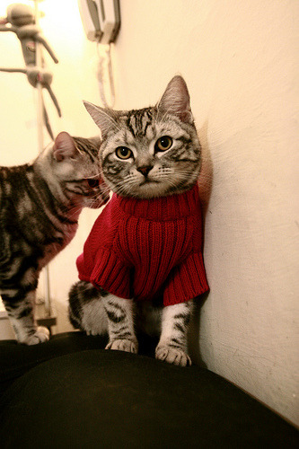 开云入口-世界杯奇迹逆转：英雄创造史诗！，世界杯之路