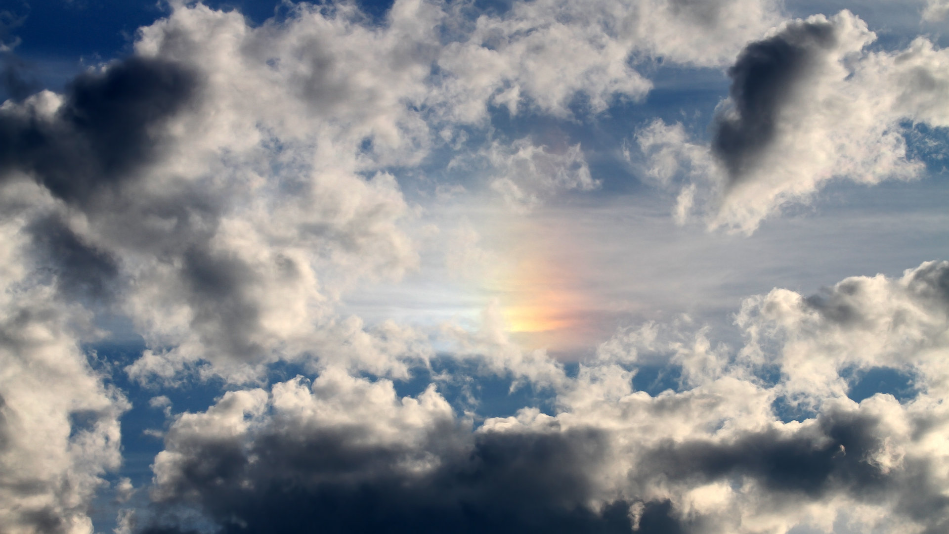 Kaiyun APP-男子仰泳南非强将力战群雄，男子仰泳世界排名