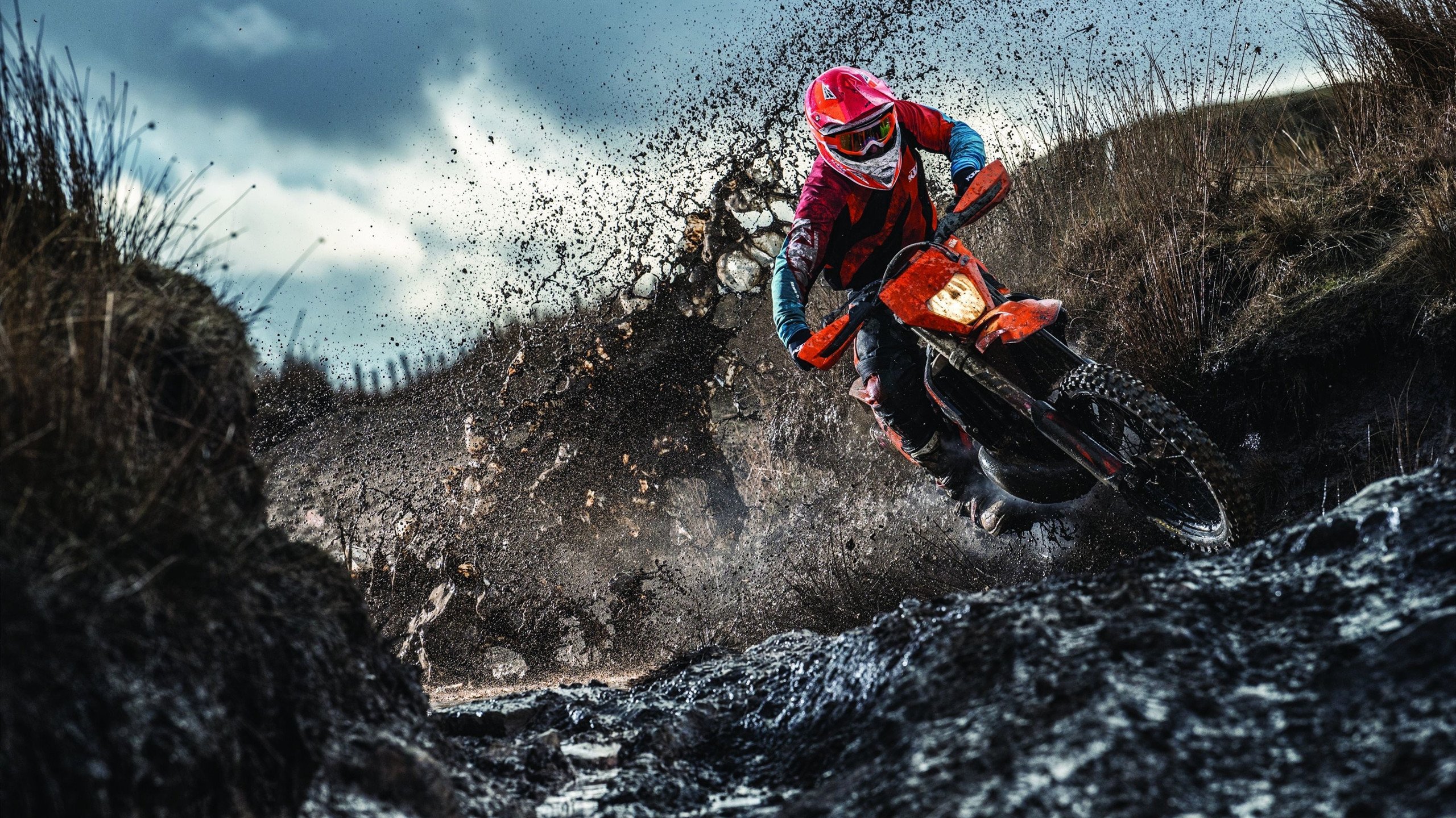 WRC意大利站：沿海公路的速度与美景共舞，意大利wkr