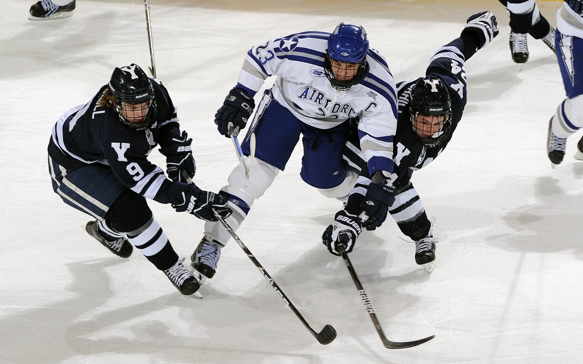 “青训导师交流会成功举办,推动全国青训水平提升”,青年训练队